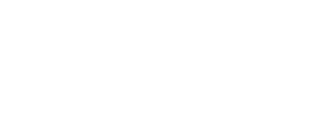 YeslNet Logo